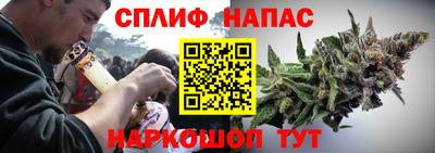 ешки Можга