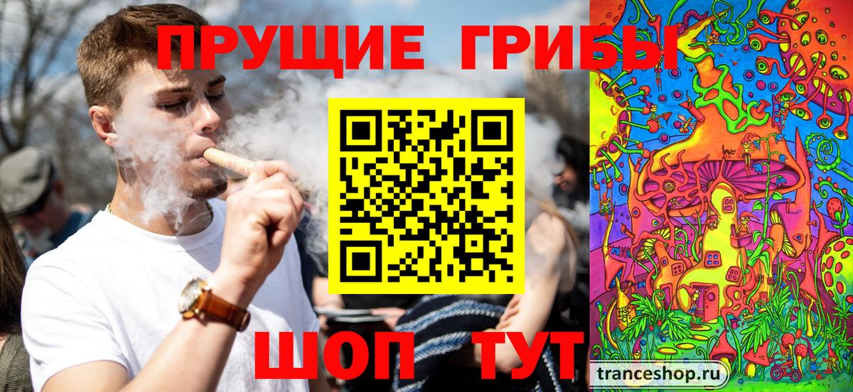 купить закладку  Вход с VPN  Владикавказ  Галлюциногенные грибы мухоморы  Галлюциногенные грибы GOLDEN TEACHER 
